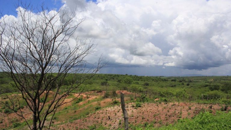 Inmet alerta para risco de chuvas intensas em 104 municípios do Ceará